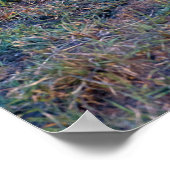 Poster - 24x36 Cheetah mère et petits (Coin)