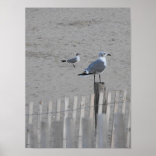 Poster ~ 25,5 de plage