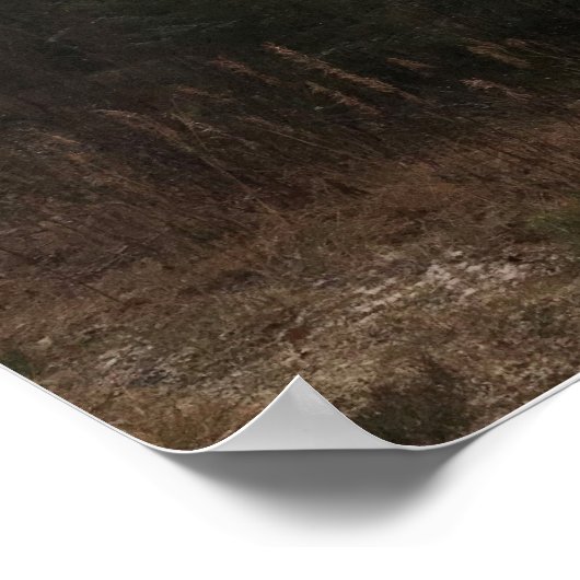 Poster 26 octobre (Coin)