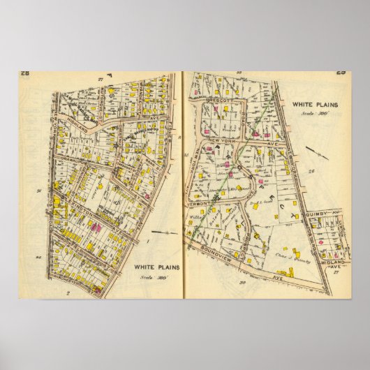 Poster 28-29 Plaines blanches (Devant)