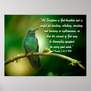 Poster 2 3h16 de Timothy - colibri d'affiche de 17