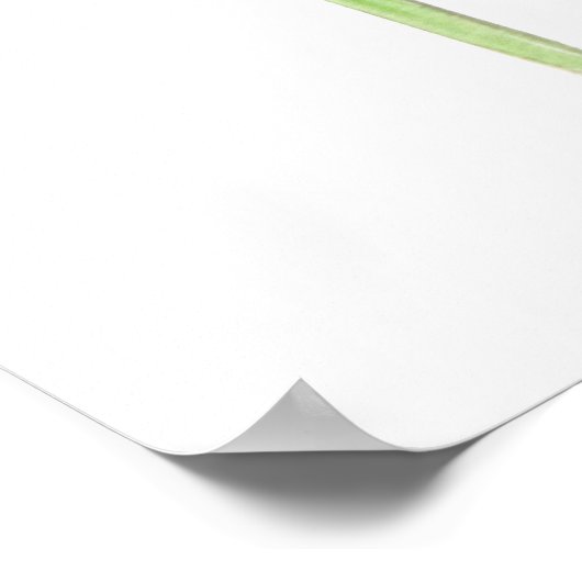 Poster 2 aquarelle blanche calla (Coin)