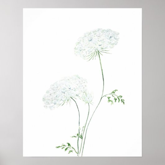 Poster 2 blanc Queen Ann Lace aquarelle (Devant)