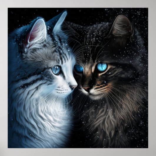 Poster 2 cat (Devant)