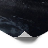 Poster 2 chat (Coin)