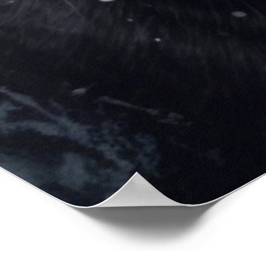 Poster 2 chat (Coin)