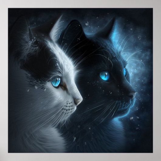 Poster 2 chat (Devant)