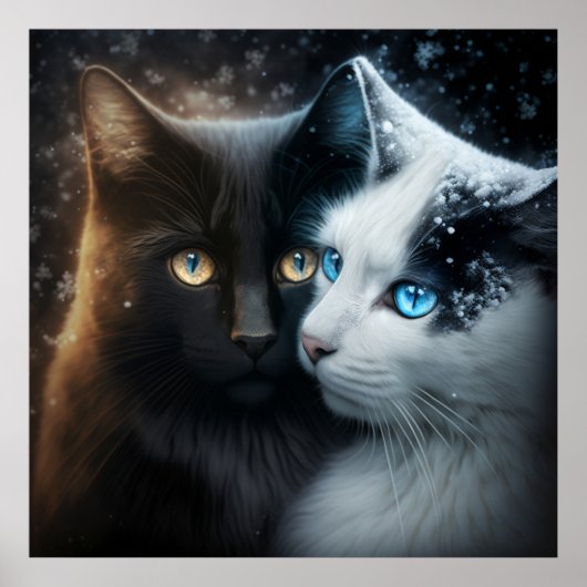 Poster 2 chat (Devant)