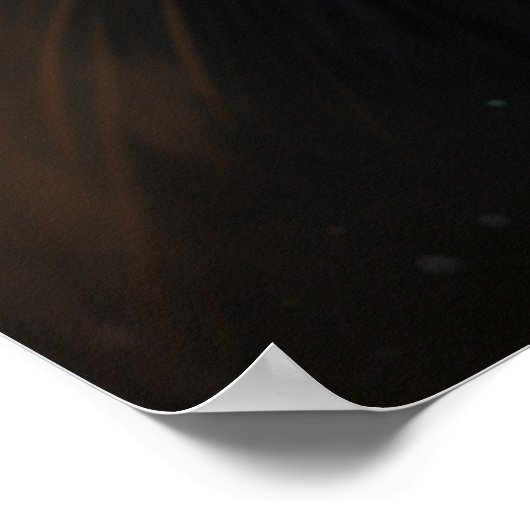 Poster 2 chat (Coin)