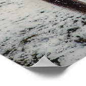 Poster 2 Chevaux de Ranch, Dun, Palomino Paint Photo (Coin)