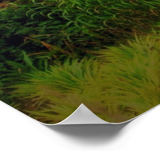 Poster 2 Chronicles 7:14 (Coin)