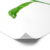 Poster 2 daches jaunes de Jérusalem (Coin)