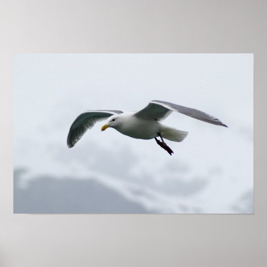 Poster 2 de Seagull (Devant)