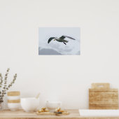 Poster 2 de Seagull (Cuisine)