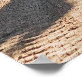 Poster 2 femmes marchant sur la route entre les arbres da (Coin)