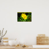 Poster 2 Fleurs Jaunes (Cuisine)