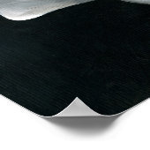 Poster 2 lilys (Coin)