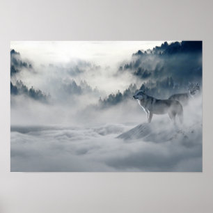 Poster 2 loups de neige dans les montagnes d'hiver Photo