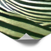 Poster 2 mignons zèbres (Coin)