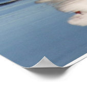 Poster 2 mouettes sur une plage (Coin)