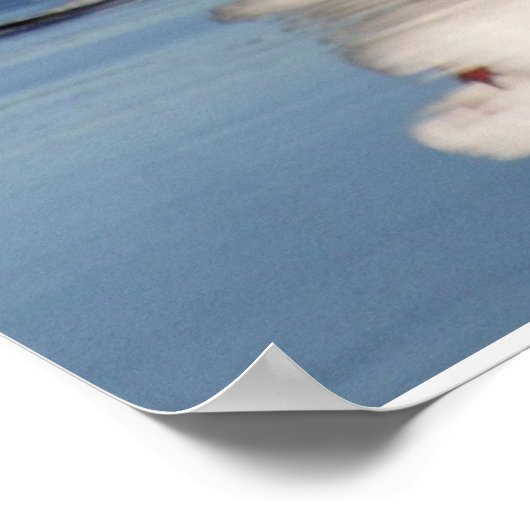 Poster 2 mouettes sur une plage (Coin)