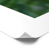 Poster 2 petits oiseaux ludiques (Coin)