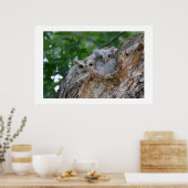 Poster 2 petits oiseaux ludiques (Cuisine)