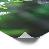 Poster 2 pointes (Coin)