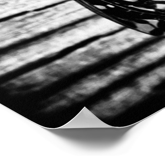 POSTER 3 (Coin)