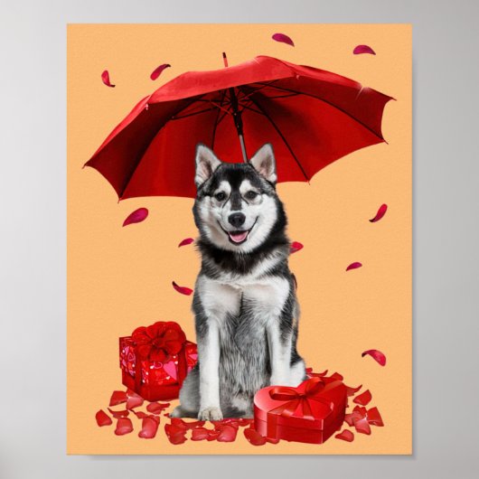 Poster 30 ans Vintage 1993 Limited Edition 30e (Devant)