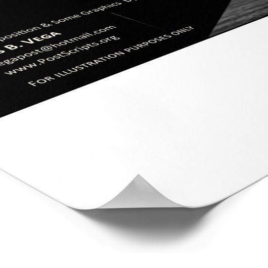 Poster 322 Crâne et os (Coin)