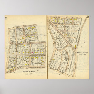 Poster 36-37 Plaines blanches