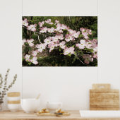 Poster 36"x24" Pink Dogwood (Cuisine)