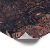 Poster 36" x 24" Chrissy Kittens Par Le Journal (Coin)