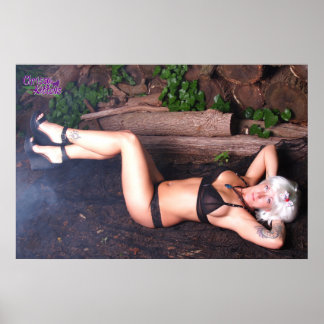 Poster 36" x 24" Chrissy Kittens talons et billes