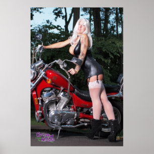 Poster 36" x 24" des chatons de Chrissy se tiennent prêt