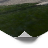 Poster 370z de Calvin (Coin)