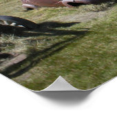 Poster 37 Chevrolet (Coin)