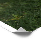 Poster 3 Adorable Saint Bernard Puppies dans un tonneau (Coin)