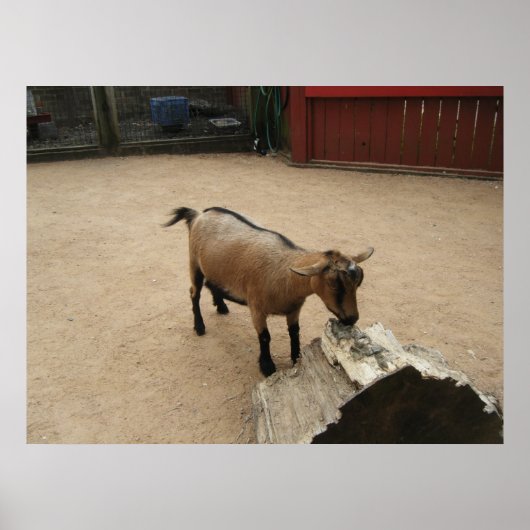 Poster 3 avril (11) Toile (Devant)