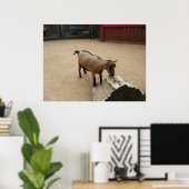 Poster 3 avril (11) Toile (Bureau à domicile)