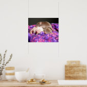 Poster: 3 Baby muizen Poster (Keuken)