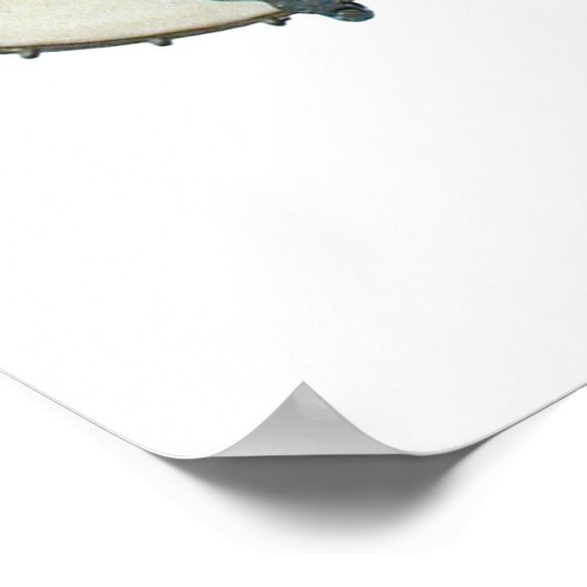 Poster 3 Banjos (Coin)