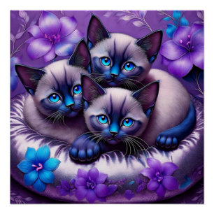 Poster 3 Chatons Siamais Fleurs violettes Coussin Argent