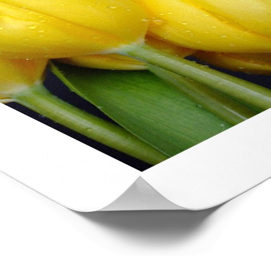 Poster 3 couleurs Tulips (Coin)