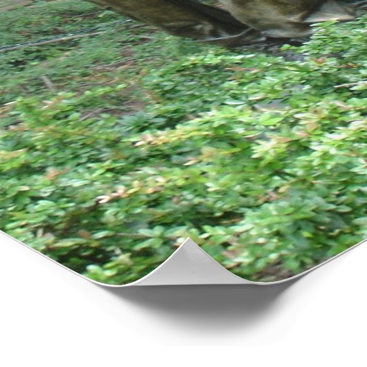 Poster 3 hommes de combat (Coin)