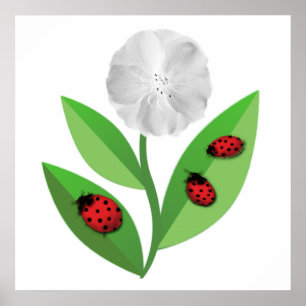 Poster 3 Ladybugs
