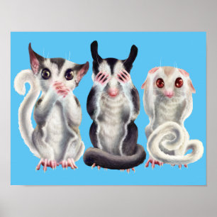 Poster 3 planeurs sages