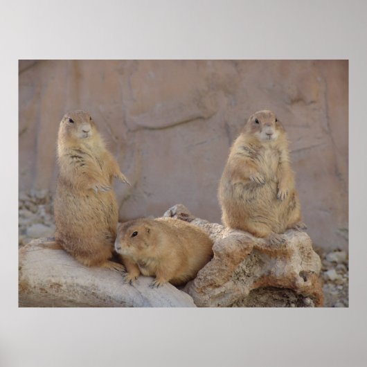 Poster 3 Rascals (Devant)