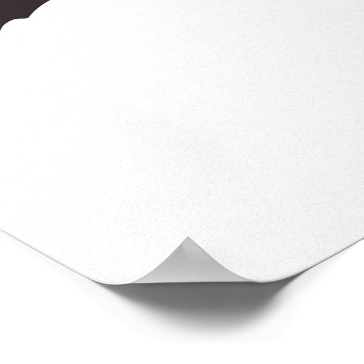 Poster 3 sages singes ! (Coin)